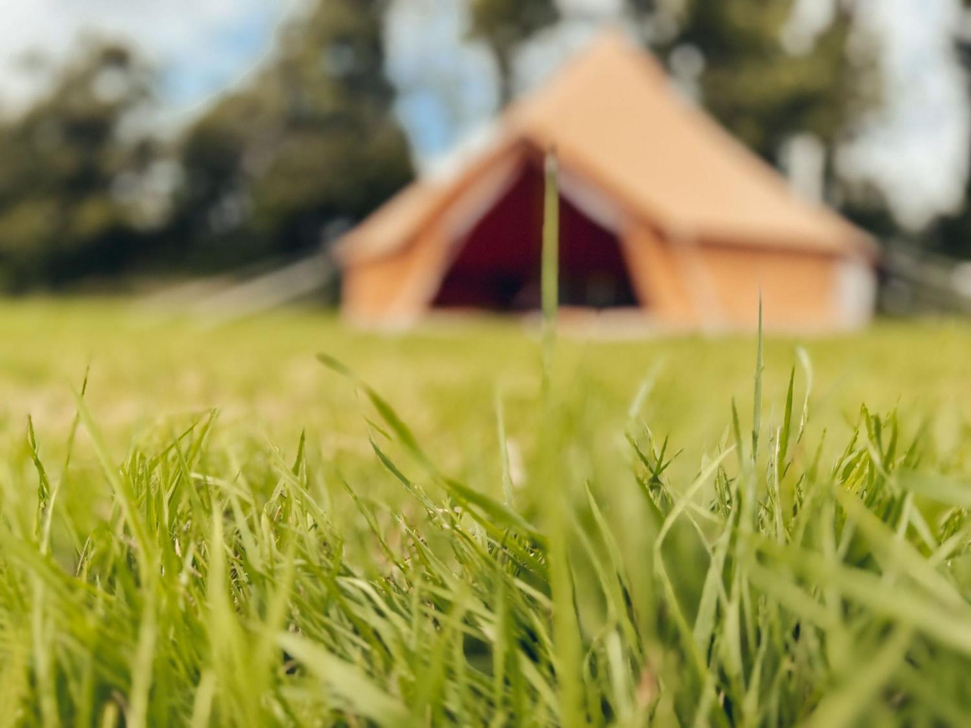 Fully Furnished Bell Tent 1 圣奥斯特尔 外观 照片